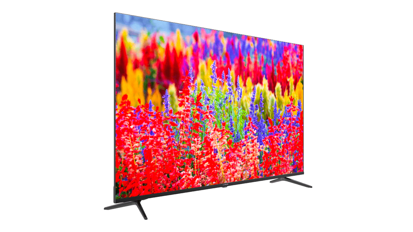 تلویزیون ایکس ویژن 65XCU635